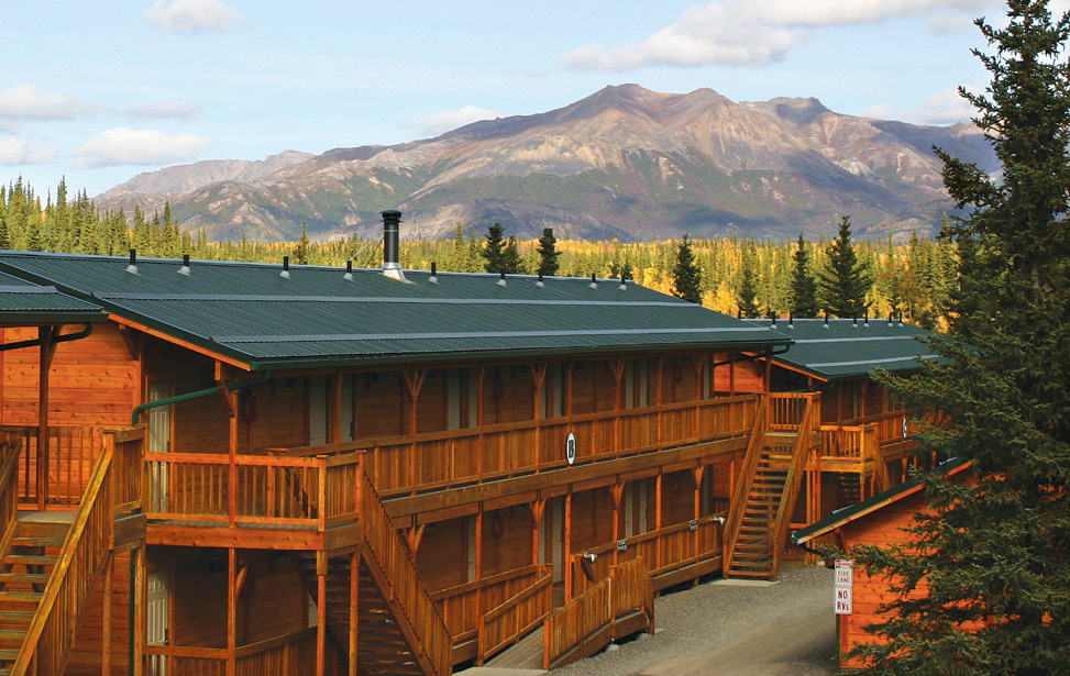 Scenic Denali National Park Cedar Hotel in Alaska Denali Grizzly Bear