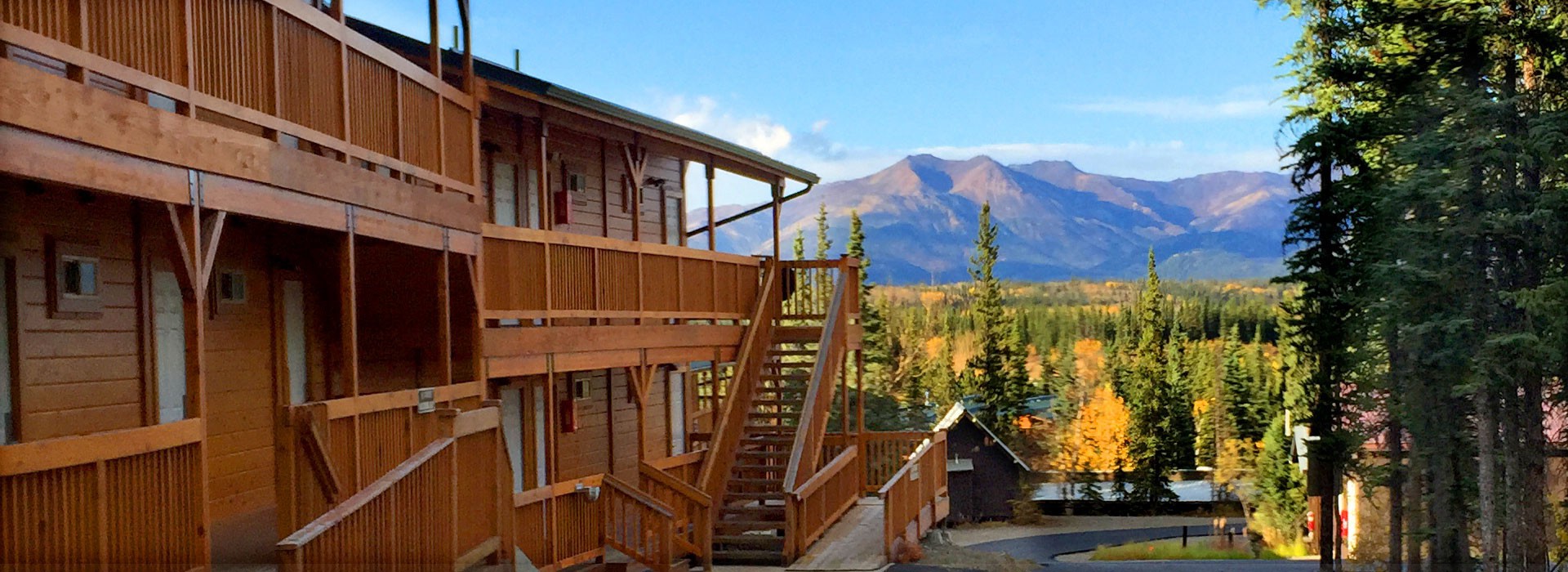 Denali National Park Cabins & Lodging Denali Grizzly Bear Resort